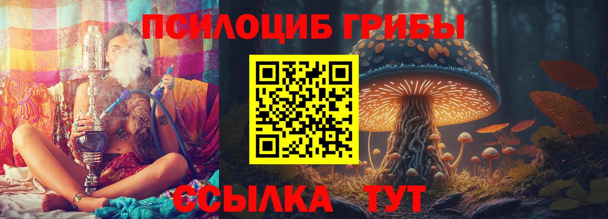 Галлюциногенные грибы Psilocybine cubensis Михайловск